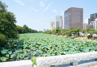 	舞鶴公園（舞鶴公園東口）	